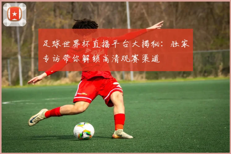 足球世界杯直播平台大揭秘：独家专访带你解锁高清观赛渠道